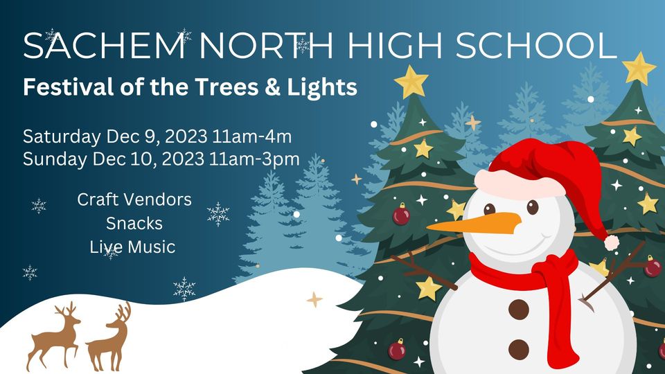 Festival of Trees and Lights Flyer