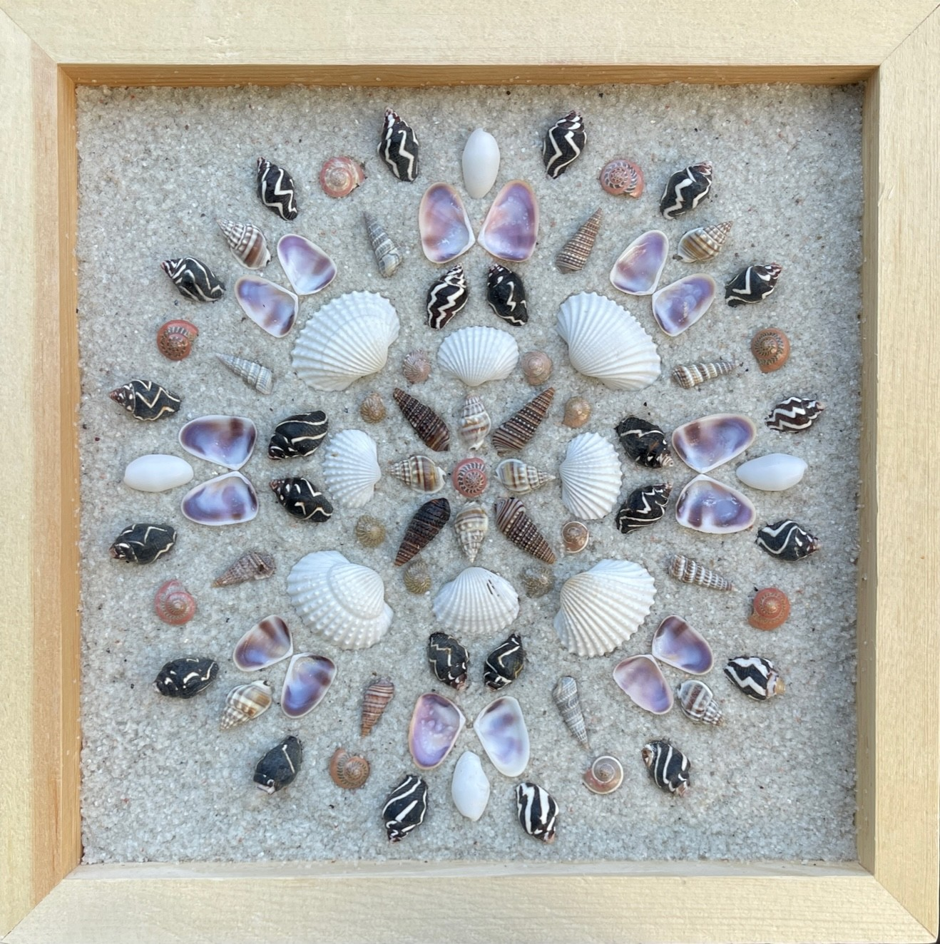 Seashell Mandal Art by Anna Chan