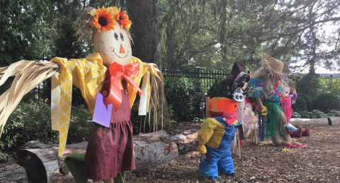 Scarecrow Workshop