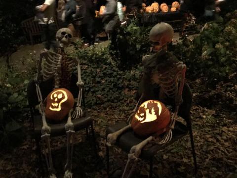 Haunted Garden Skeletons & Pumpkins