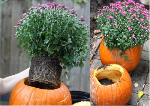 Pumpkin Planter