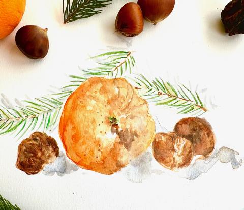 image of a watercolor still life. The painting is of an orange, some chestnuts, and pine branches