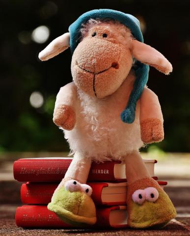 sheep and books