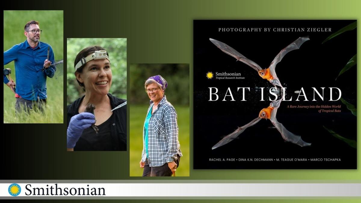 Author Talk with Scientists from the Smithsonian Tropical Research Institute