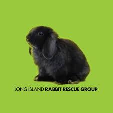 LI Rabbit Rescue